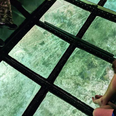 Glass Bottom Boat Key Largo