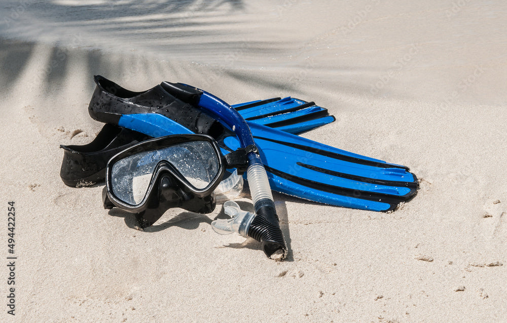 Snorkeling Tour