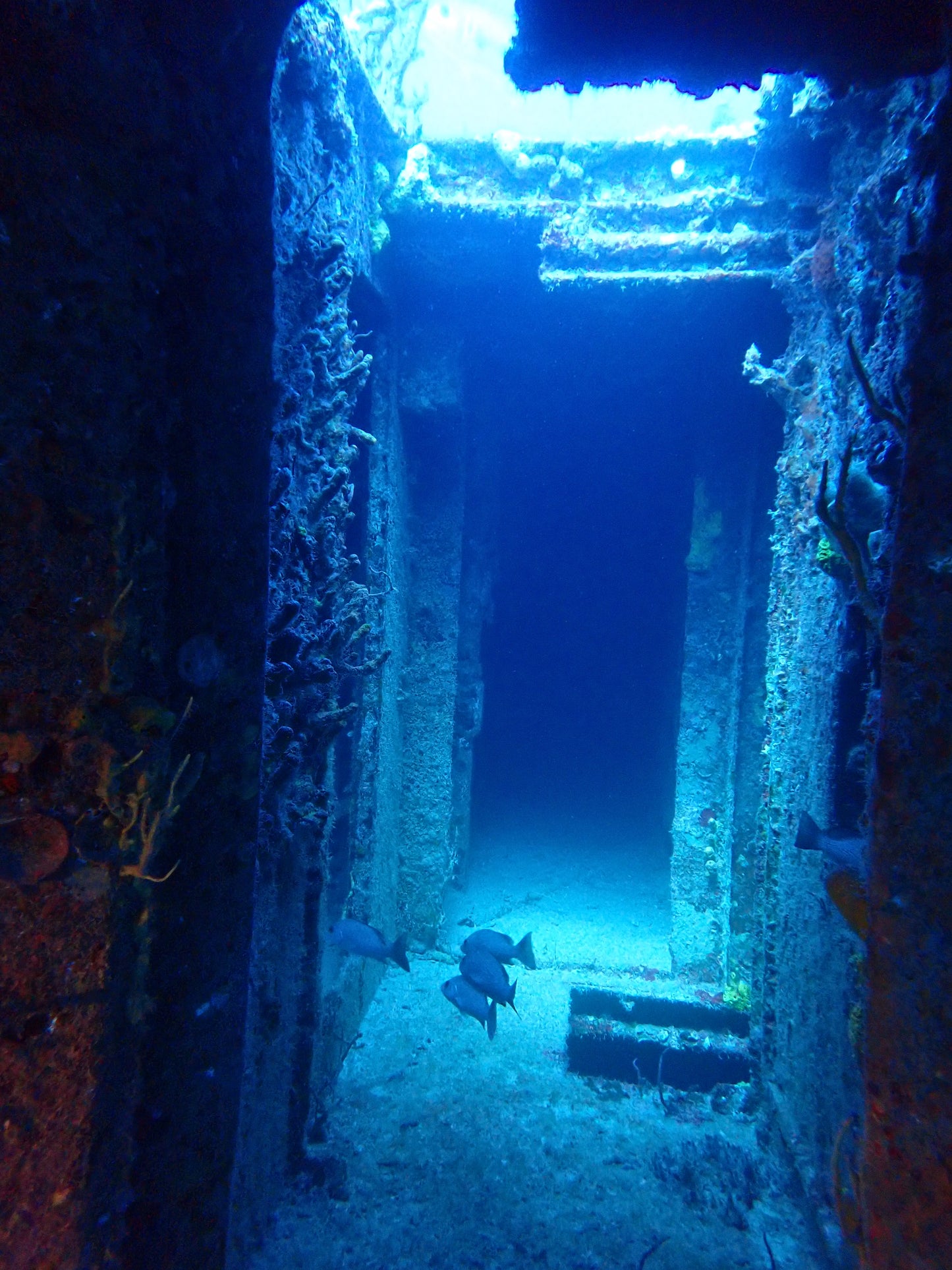 One-of-a-Kind Memories: From Pool to Ocean