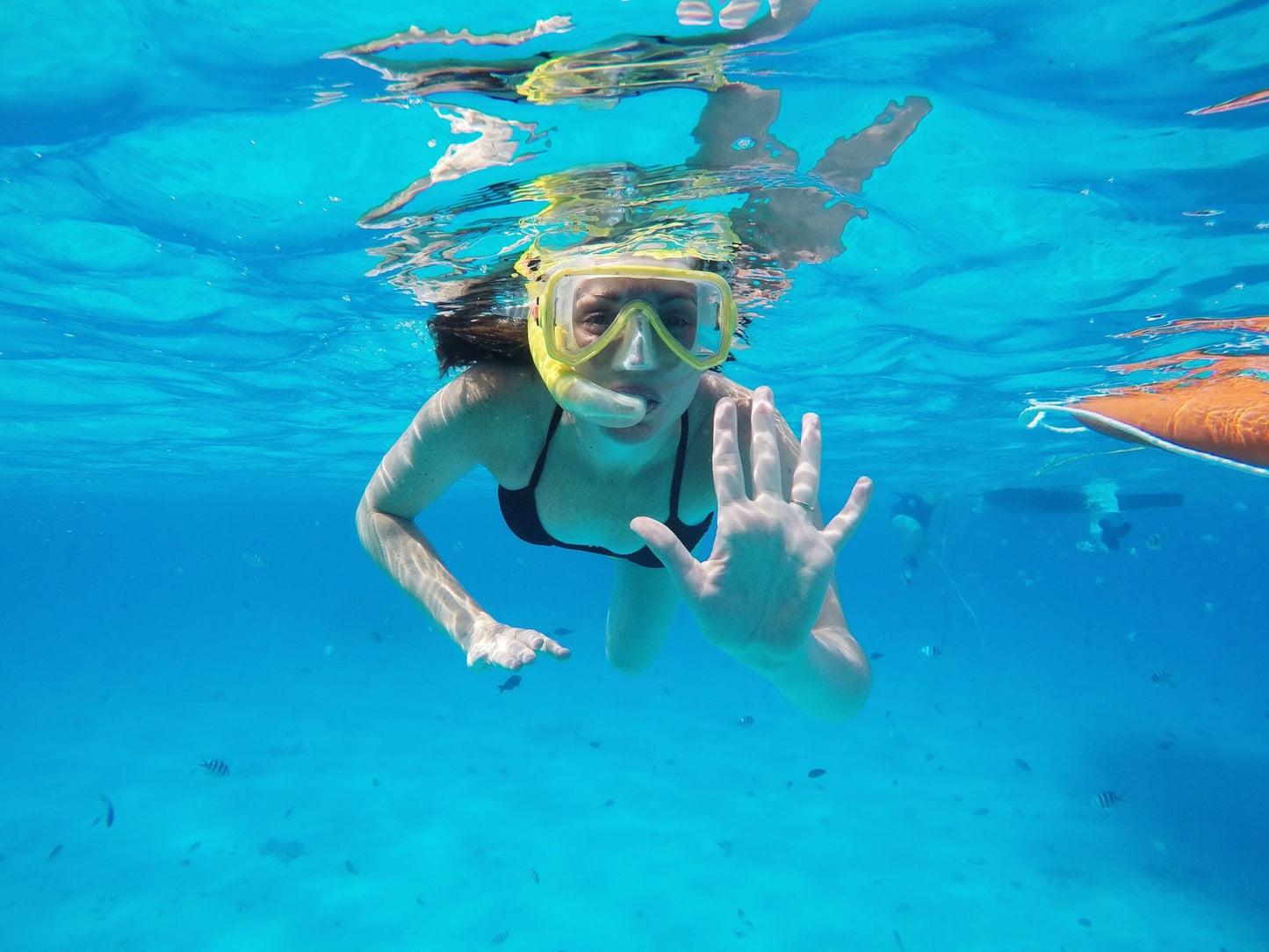 Private Snorkeling Charter
