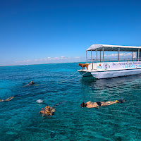 Islamorada Sandbar Trip