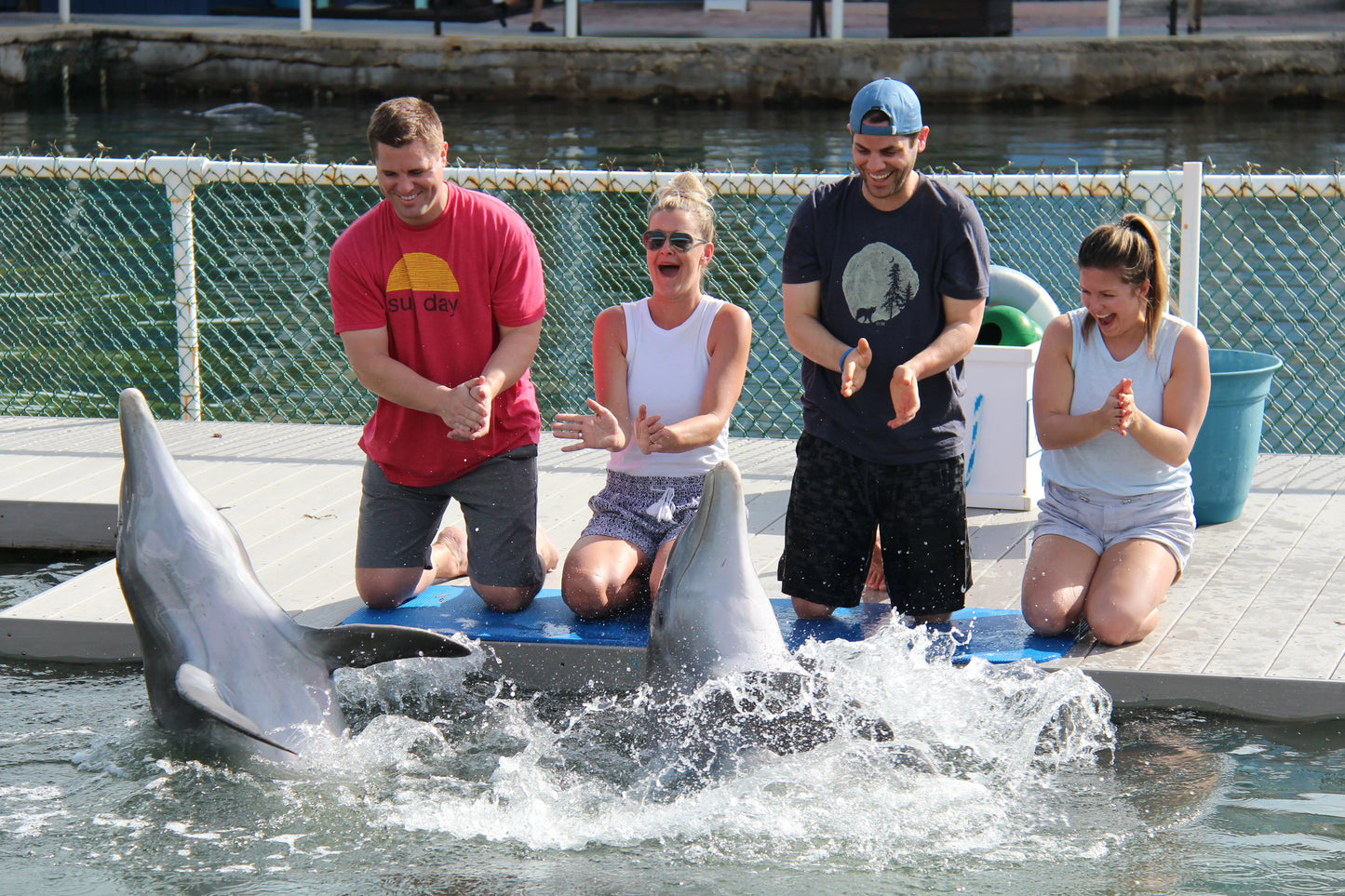 Deluxe Discover Dolphins Dockside