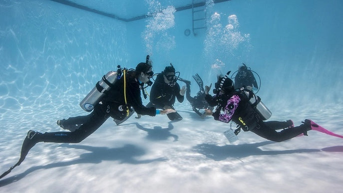 PADI: reActivate - Scuba Diving Refresher